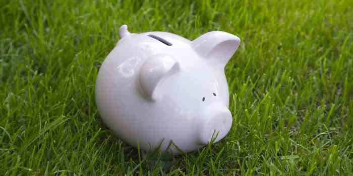 Investing in agricultural land | Farmland investments in Europe